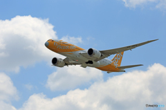 ☀ scoot 787-8 9V-OFE 飛び立ち 