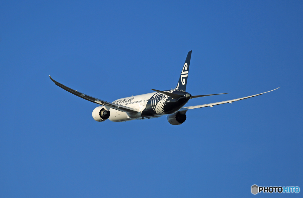 「青空」Air New Zealand B787-9 ZK-NZF