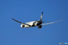 「青空」Air New Zealand B787-9 ZK-NZF