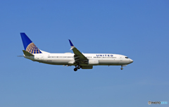 United 737-800 N77296 ｼﾐﾀｰw 着陸 