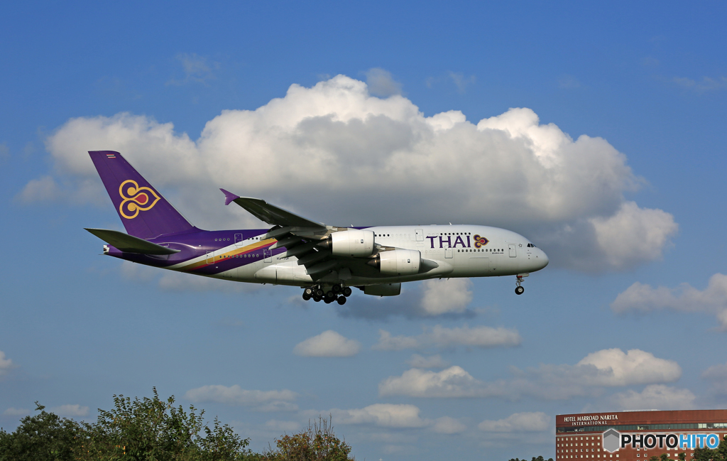「雲」とTHAI A380-841 HS-TUF