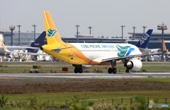 飛び立ち　CEBU A320-214