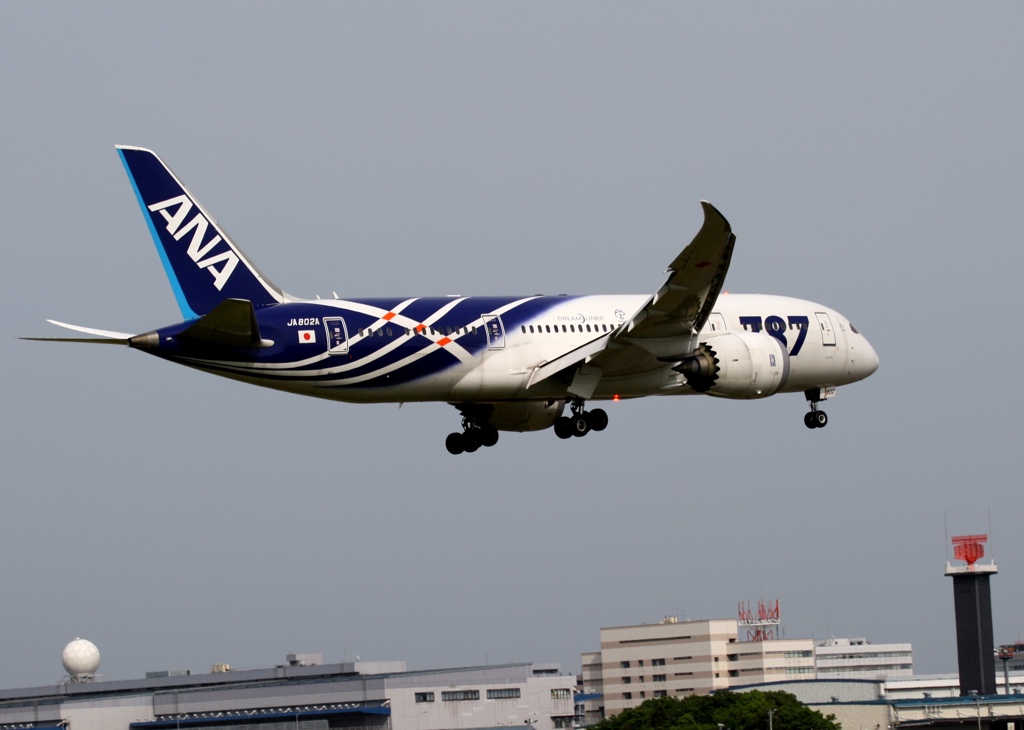 着陸　ANA 787-8 