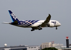 着陸　ANA 787-8 