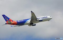 Air Calin A330-202 F-OHSD 出発 