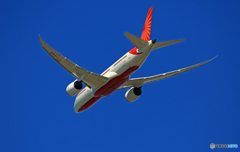 ☀ Air India 787-8 VT-ANP 飛び立ち