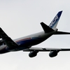 離陸（8-2）Nippon Cargo 747-8KZ F[b]