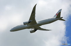 「SKY」 JAL 787-9 JA862J 離陸 「SKY」 JAL 787-9 JA862J 離陸