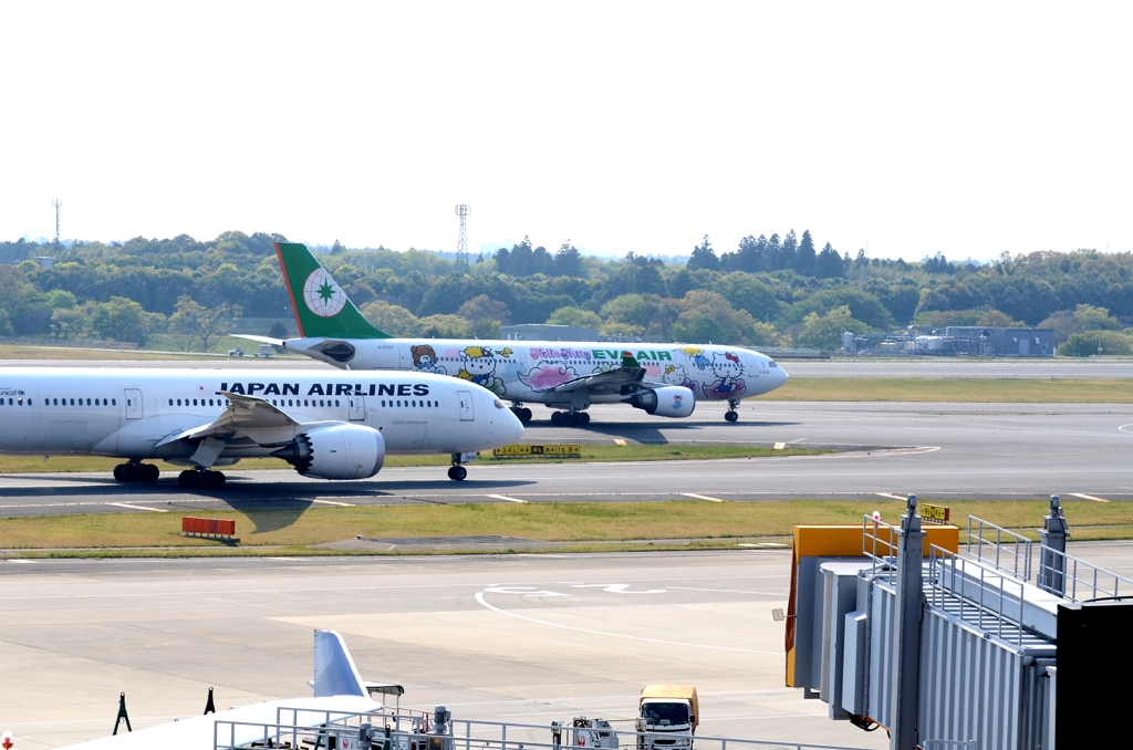 飛ぶ前のKitty./JAL７８７
