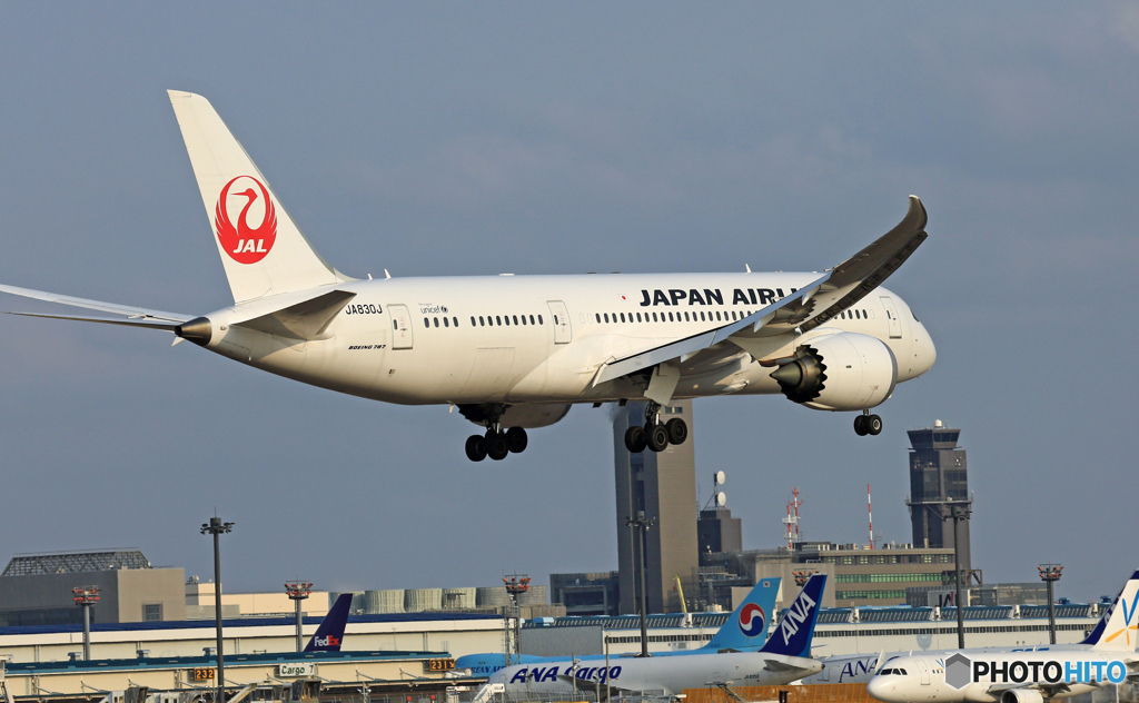 JAL 787-8 JA830J