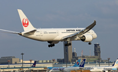 JAL 787-8 JA830J