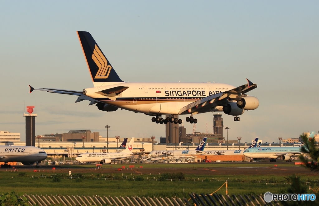 到着　SINGAPORE A380-841