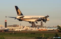 到着　SINGAPORE A380-841