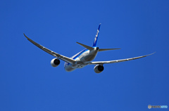 飛び立ち　ANA 787-8 JA823A