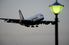 着陸（172）Singapore A380-841 