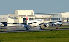 着陸（83）Japan Airlines 767-346ER [b]