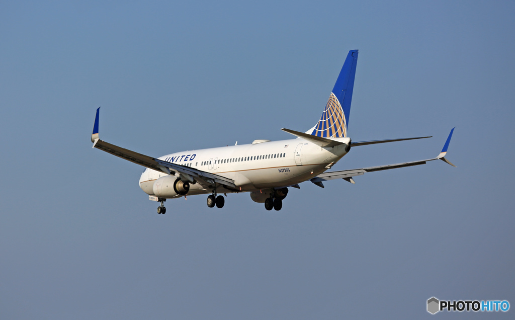 United 737-800 ｼﾐﾀｰﾙｳｲﾝｸﾞﾚｯﾄ N37293