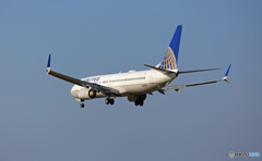 United 737-800 ｼﾐﾀｰﾙｳｲﾝｸﾞﾚｯﾄ N37293