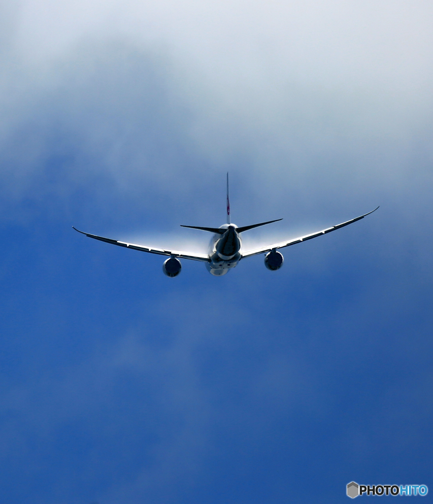 離陸 JAL 787-8 JA828J