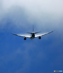 離陸 JAL 787-8 JA828J