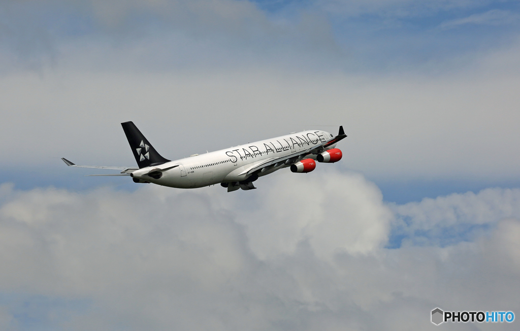 SAS A340-313 OY-KBM離陸 