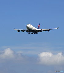 「青空」DELTA 747-400 /ジャンボ保存委員会 