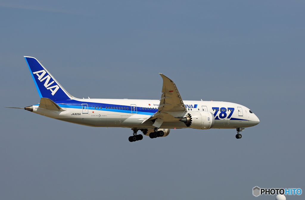 「すかい」 ANA 787-8 JA805A Landing