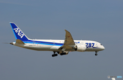 「すかい」 ANA 787-8 JA805A Landing