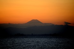fujiyama(1)