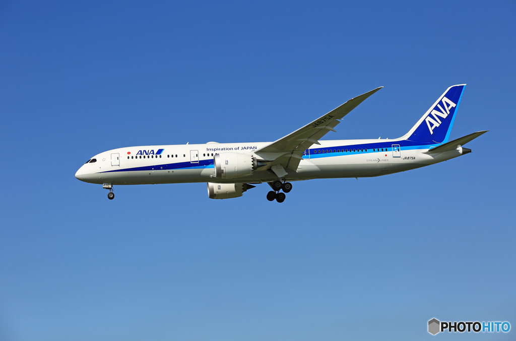 「青空」 ANA 787-8 JA875A