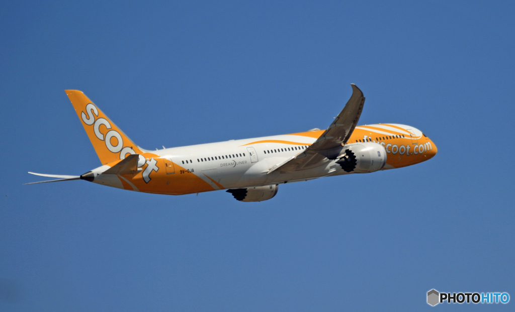 scoot 787-9 9V-OJA 離陸 