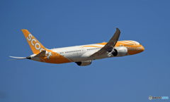 scoot 787-9 9V-OJA 離陸 