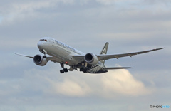 Air New Zealand B787-9 ZK-NZC離陸 　