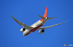 「青空」 AIR INDIA 787-8 VT-ANA 離陸
