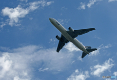 「雲」と ANA Star 767-381 JA614A