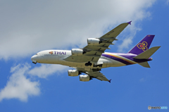 「良い天気」 THAI A380-841 HS-TUA 離陸