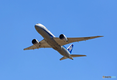「良い空～」 ANA 787-8 JA828A離陸