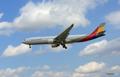 「青い空」が一番 ASIANA A330-323 HL8293到着