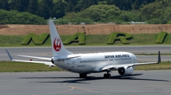 JAL 737-800
