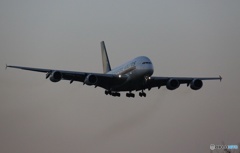 Singapore A380-841 9V-SKM