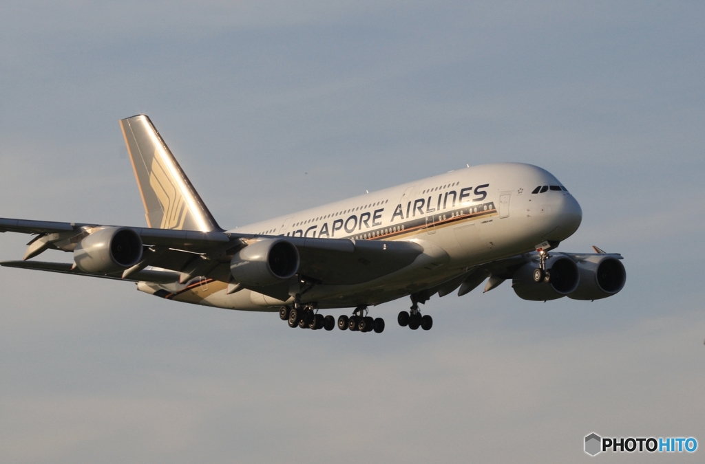 到着　Singapore A380-841