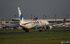 ✈「ゆめジェット ～You ＆ Me～」767-300　