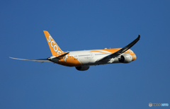 scoot 787-9 9V-OJB