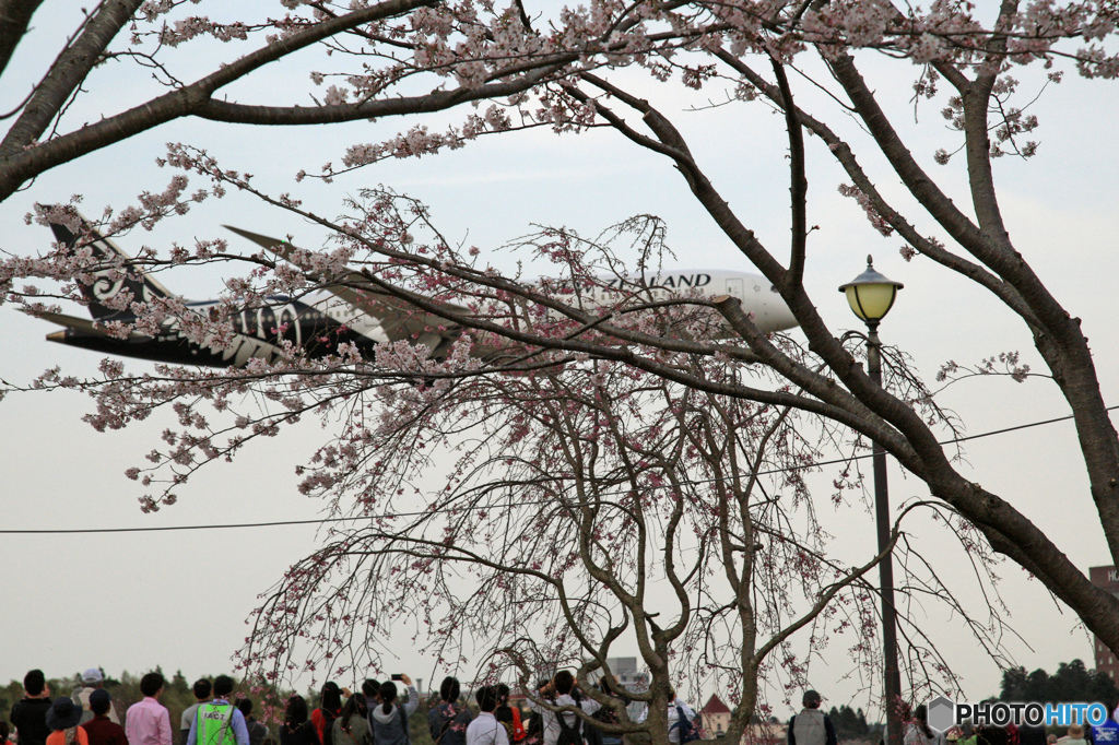 今日・・失敗しました！