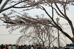 今日・・失敗しました！