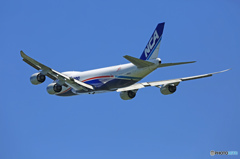 ✈NCA B747-8KZF JA12KZ ☮