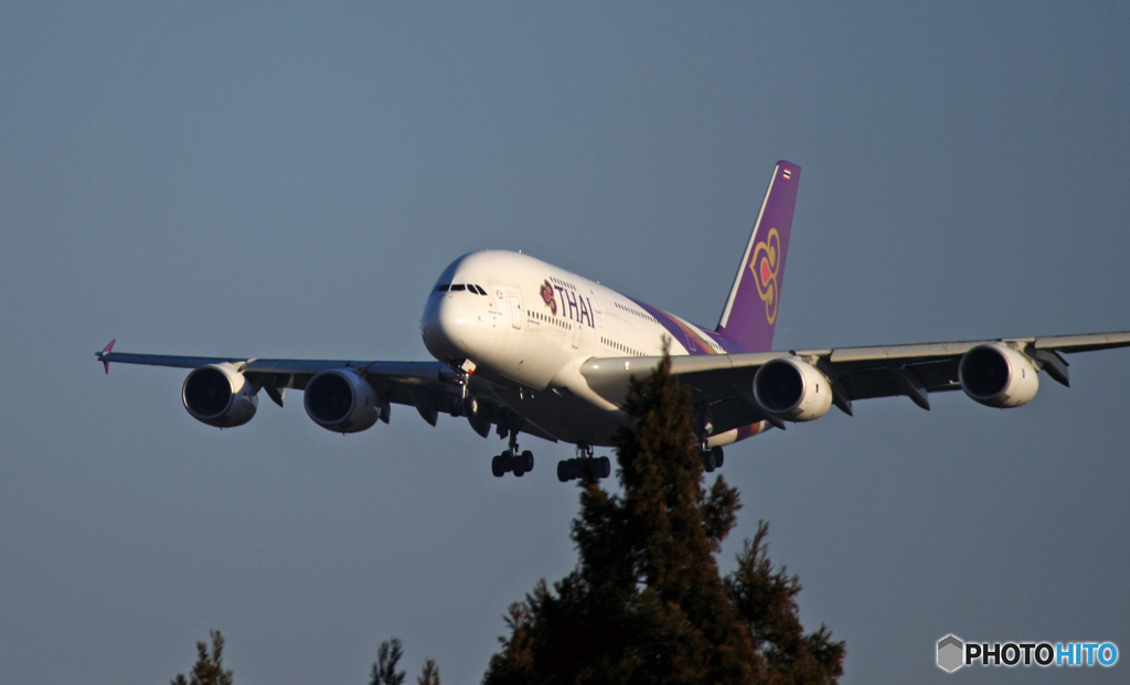 到着 THAI A380-841 HS-TUB