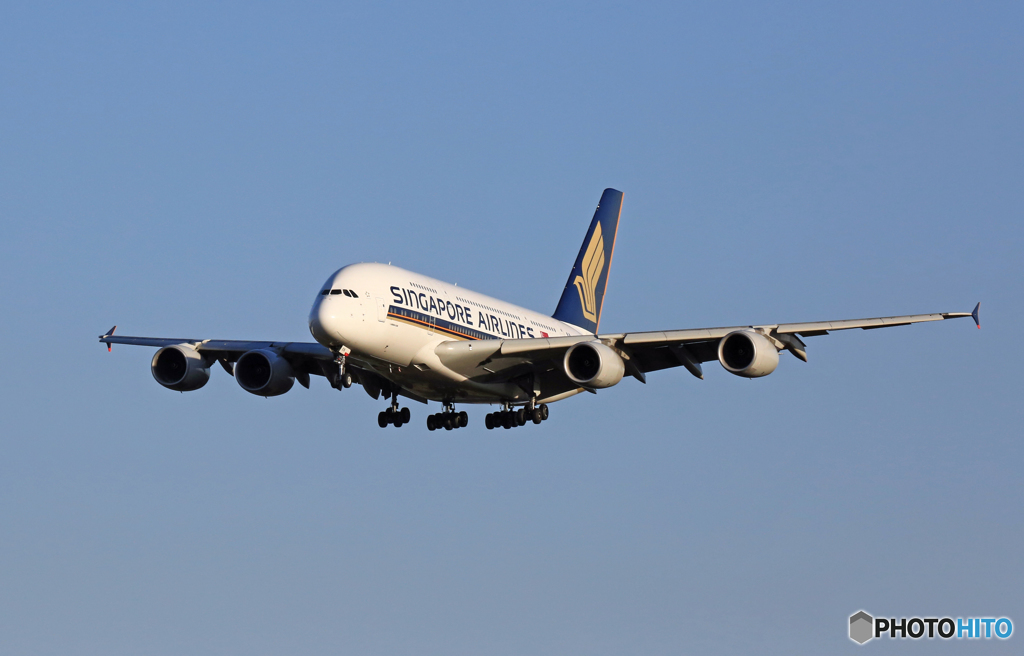 着陸 Singapore A380-841 9V-SKN