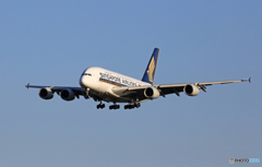 着陸 Singapore A380-841 9V-SKN