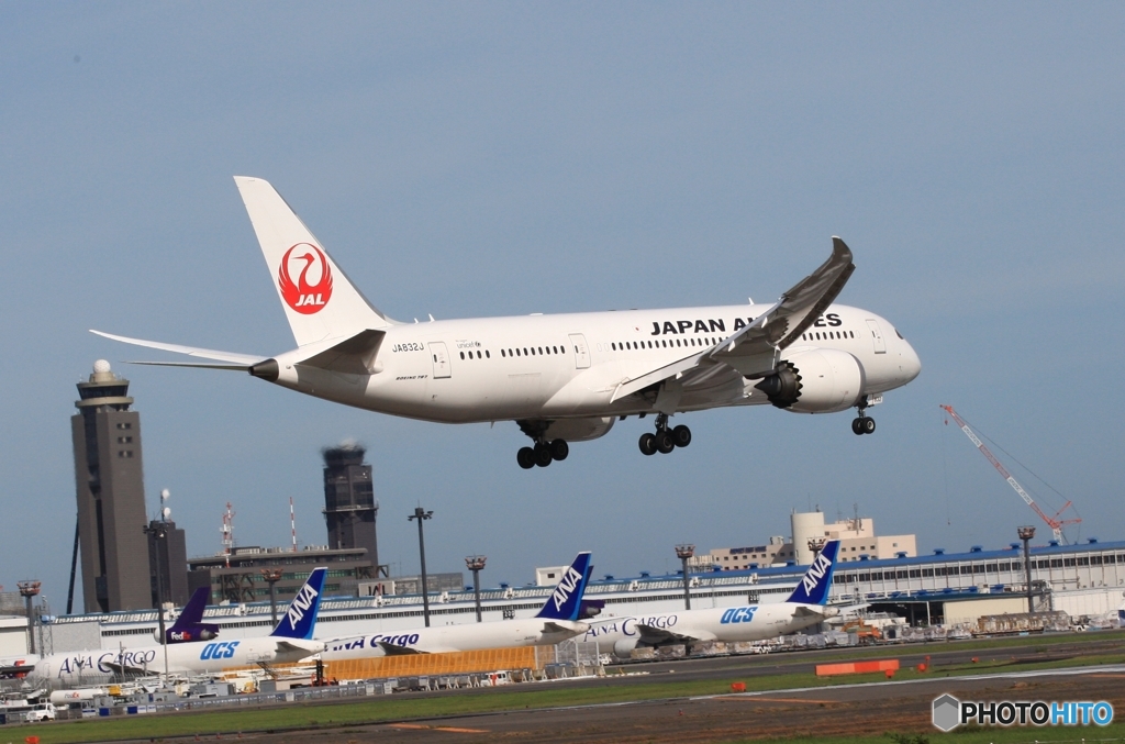 JAL 787-8  到着　